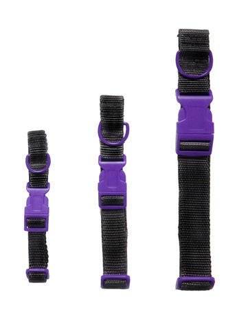 American Apparel The Dog Collar Small-Black / Purple