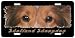   - Shetland Sheepdog 