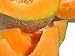 Cantaloupe - 18