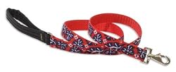 Lupine Wave Hound 1" Leash - 4ft