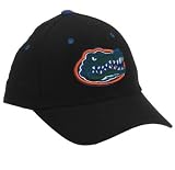 Florida Gators Adult One-Fit Hat