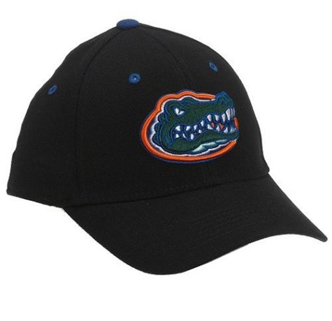 Florida Gators Adult One-Fit Hat