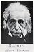Albert Einstein (E=MC2) Art Poster Print - 12" X 16"