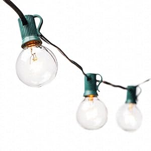 String Lights with 25 G40 Clear Globe Bulbs by Deneve® - UL Listed Indoor & Outdoor Lights Perfect for Backyards, Gazebos, Patios, Gardens, Pergolas, Decks, City Rooftops, Weddings, Bbq, Dinner Parties, Holidays - Commercial Quality String Light Fixture for Indoor / Outdoor Use - Updated Incandescent Energy-efficient Bulbs for Warm Nostalgic Glow - Natural Warmer Hue Than Led Which Casts Cold Sterile Light - LIFETIME 100% Satisfaction Guarantee on Light String!