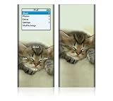 Animal Sleeping Kitty Decorative Skin Decal Sticker for Apple iPod Nano 2G (2nd Gen) MP3 Player