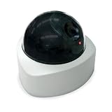  : SVAT ISC303 Outdoor Imitation Dome Security Camera w/Blinking LED