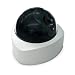 Photo : SVAT ISC303 Outdoor Imitation Dome Security Camera w/Blinking LED