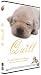 Produkt-Bild: Quill [FR Import]