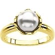 18K Yellow Gold Akoya Cultured Pearl Ring - 8.00mm