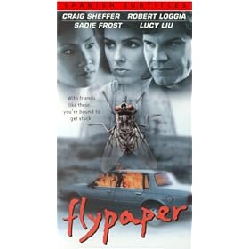 Flypaper [VHS]