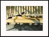 Listening to the Sun by Drew Strouble
