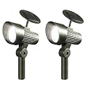 2 Pack Solar Accent Lights