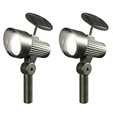 2 Pack Solar Accent Lights