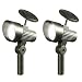 2 Pack Solar Accent Lights