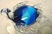 Glass Turtle - Clear and Blue Paperweight 4.5" X 4.5"