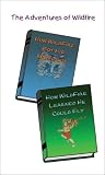 The Adventures of Wildfire: How Wildfire Got His Music Box & How Wildfire Learned He Could Fly The Adventures of Wildfire: How Wildfire Got His Music Box & How Wildfire Learned He Could Fly