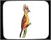 Decorated Mouse Pad with bird, hoatzin
