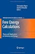 Free Energy Calculations (Springer Series in Chemical Physics)