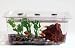 Hubbard Scientific 9433 .5 Gal Study Aquaria Terraria Tank Cover