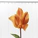 Isaac Mizrahi Photoreal Tulips Shower Curtain