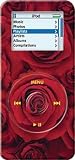 Red Rose - Apple iPod nano 1G (1st Generation) 1GB 2GB 4GB Hard Case iJacket - Shock Absorbent Hard Protective Faceplate Cover + FREE Screen & Surface Protector + FREE Lanyard