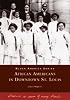 African Americans in Downtown St. Louis  (MO)  (Black America Series)