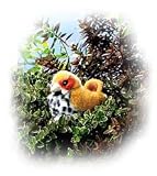 image link - - B001FD8IPA