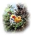 thrush0 - Audubon Bird With Real Bird Call Wood Thrush