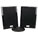 CES20 Deluxe Wireless Indoor Loudspeakers - Black