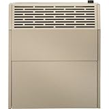 HouseWarmer Slim-Profile Direct-Vent Wall Heater with Built-In Blower - 18,000 BTU, Propane, Model# HWDV181BDVP