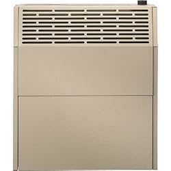 HouseWarmer Slim-Profile Direct-Vent Wall Heater with Built-In Blower - 18 000 BTU Propane Model HWDV181 to buy