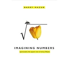 Imagining Numbers (Gebundene Ausgabe)