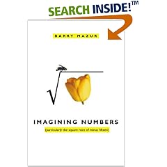 Imagining Numbers: (particularly the square root of minus fifteen)