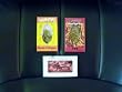 EDIBLE INSECTS SAMPLER PACK of 3- Crickets- Bacon & Cheese, Larvets- BBQ & Ant Candy- Cherry