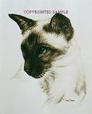 Siamese - Portrait by Cindy Farmer