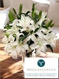 Physicians for Peace Lilies