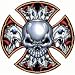 Skull & Cross Adult T-Shirt