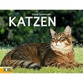 Katzen