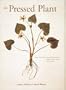 The Pressed Plant