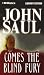 Book Comes the Blind Fury