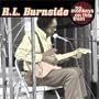 No Monkeys on This Train (Heritage of the Blues)