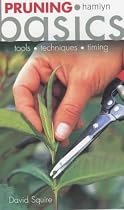 Pruning Basics