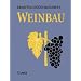 Weinbau