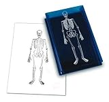 Human Skeleton Stamp