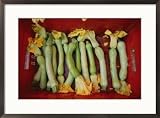 Squash, with blossoms still attached, lie in a red basket Subject Framed Art Poster Print by Jodi Cobb, 29x21