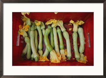 Squash, with blossoms still attached, lie in a red basket Subject Framed Art Poster Print by Jodi Cobb, 29x21