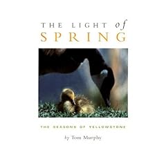The Light of Spring: The Seasons of Yellowstone