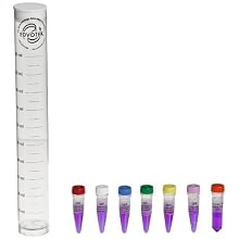 Edvotek 109-C DNA Fingerprinting I - I.D. of DNA by Restriction Fragmentation Patterns for 24 Gels