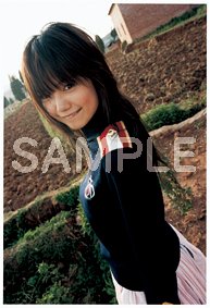 Cover image : 宮崎あおい写真集 20TH ANNIVERSARY 「光」