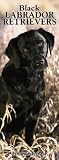 Black Labrador Retrievers 2005 Slimline Wall Calendar
